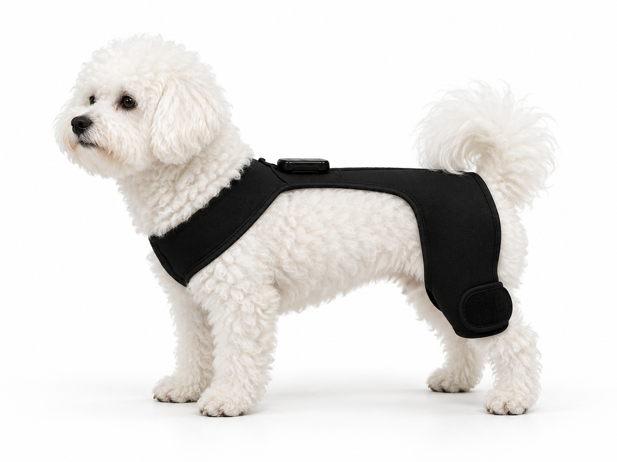 SissPet Hip fit small reference
